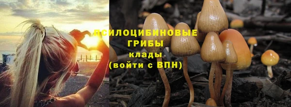 МДПВ Костерёво