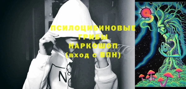 твердый Коряжма